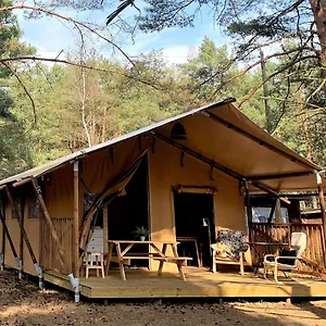 Camp Bursztynowy , Gdaňsk Polsko